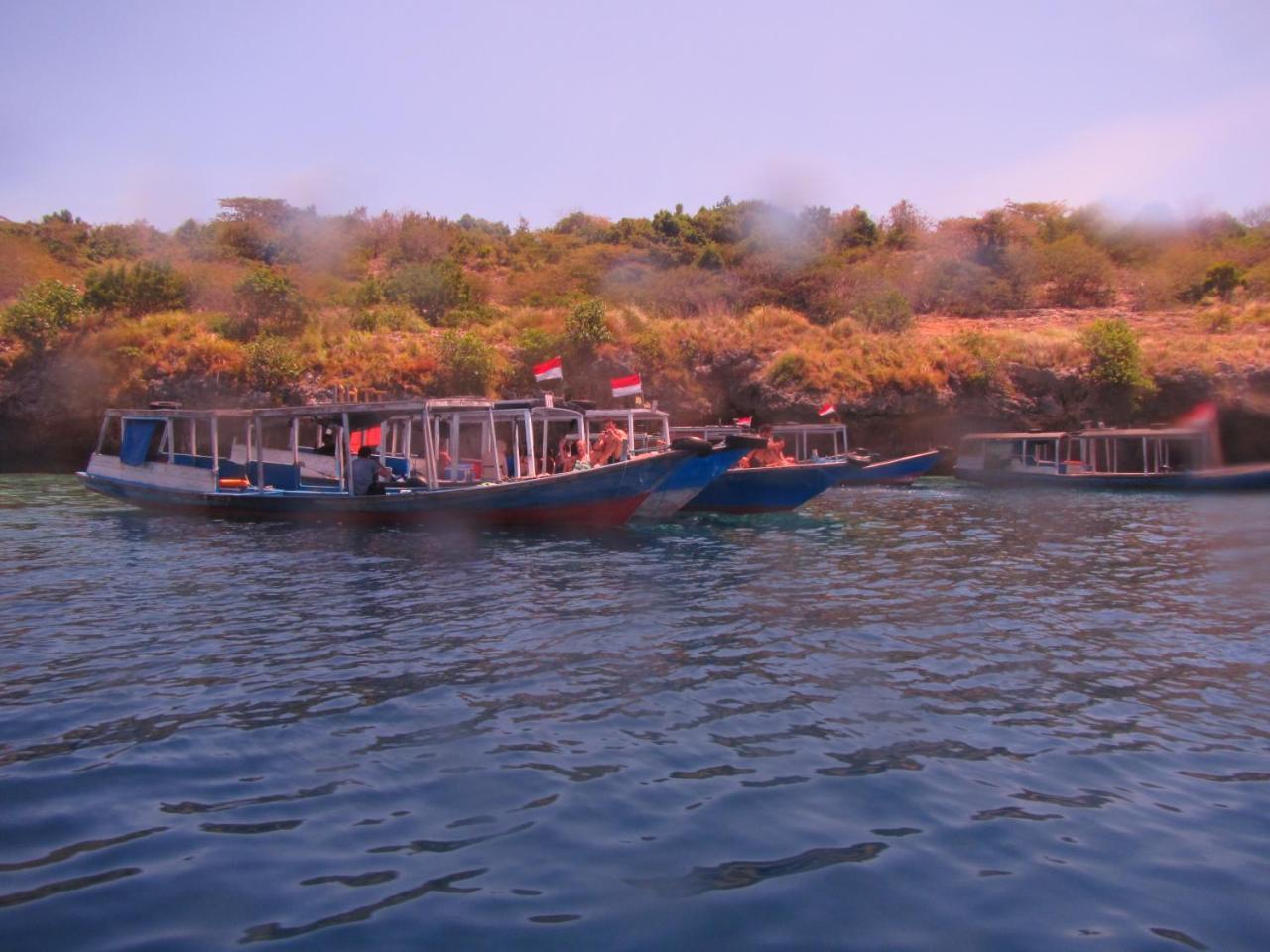 Made Taro - Menjangan Homestay Баньюведанг Экстерьер фото