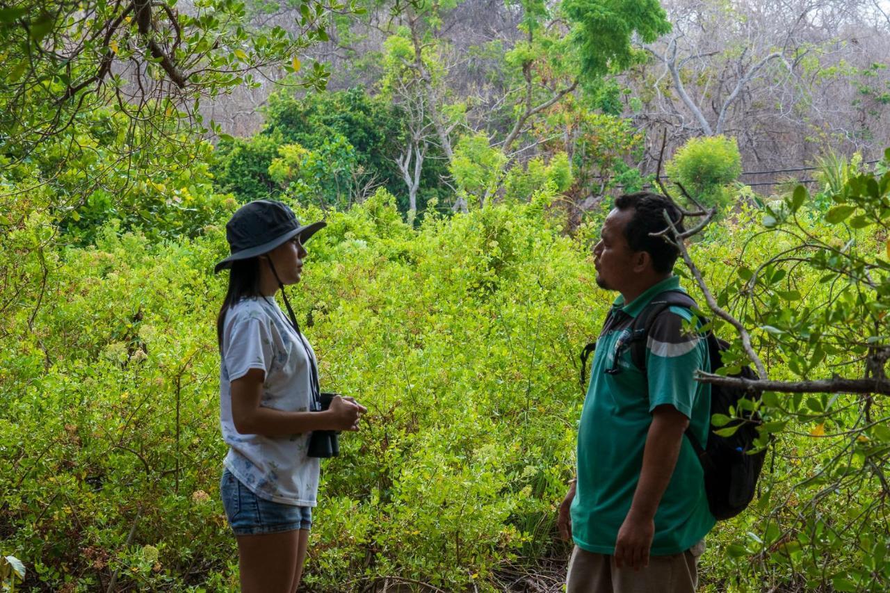 Made Taro - Menjangan Homestay Баньюведанг Экстерьер фото
